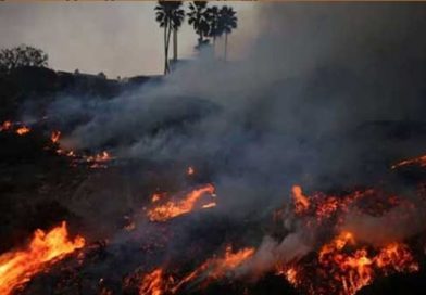 লস অ্যাঞ্জেলসে দাবানলে নিহতের সংখ্যা বেড়ে ২৪